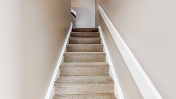 A staircase with a patterned carpet and white trim.