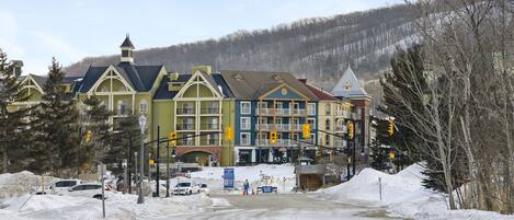 極品公寓客房, 3 間臥室 (226 Wintergreen - Pet Friendly) | 露台/庭院