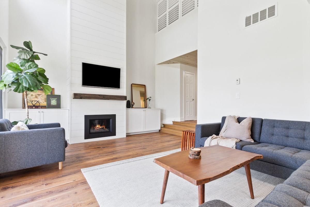 A modern living room with a fireplace, a flat-screen TV, and a large plant.
