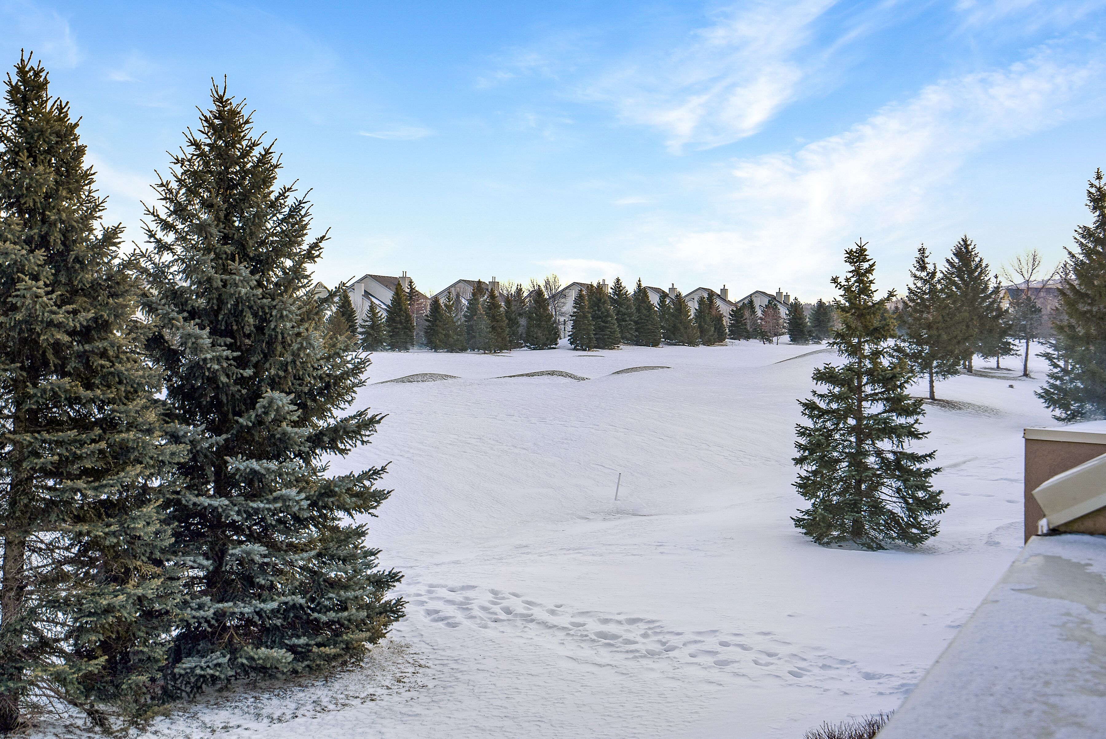 A snow-covered landscape with evergreen trees and a clear sky.