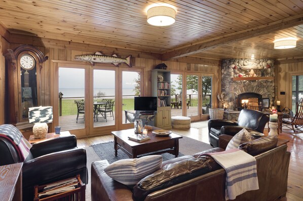 TV connectée, cheminée, lecteur de DVD, livres