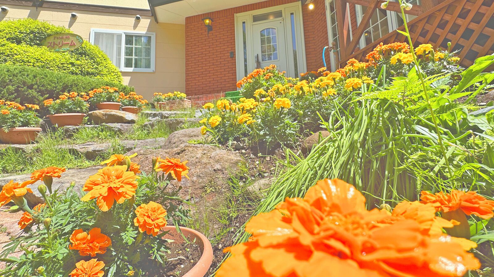 Details aan de buitenkant