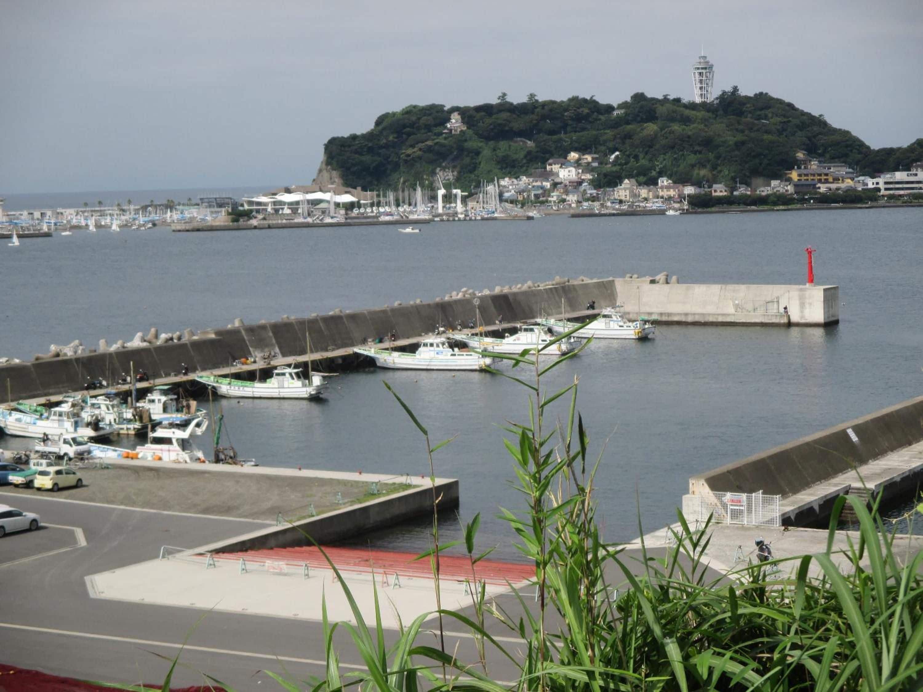 Un puerto deportivo con barcos amarrados, un faro y una colina con edificios al fondo.