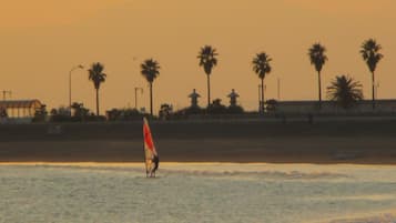 A beach scene with palm trees and a person windsurfing.