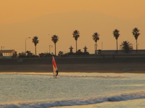 A beach scene with palm trees and a person windsurfing. - Akitaya Annex (Kamakura)
