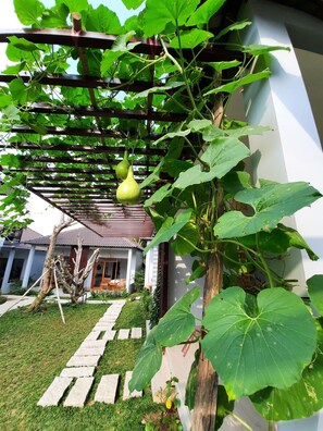 Garden - Suoi May Garden Resort (Phu Quoc)