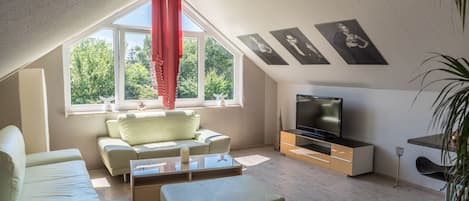 TV, DVD player, stereo