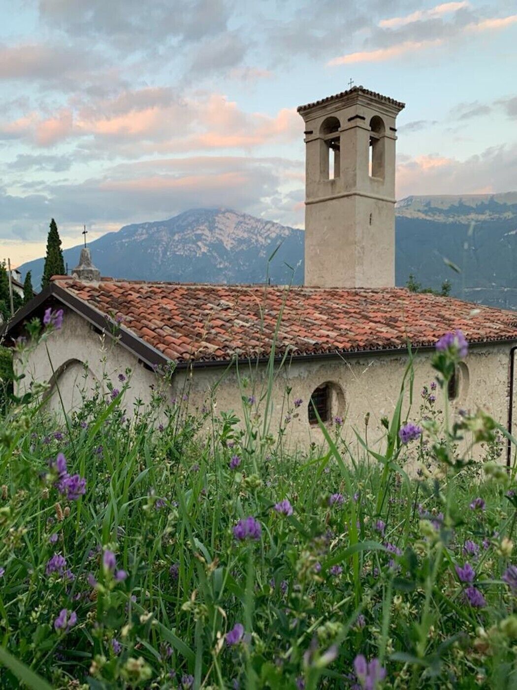 Un bâtiment doté d’un clocher, entouré de montagnes et de fleurs violettes.