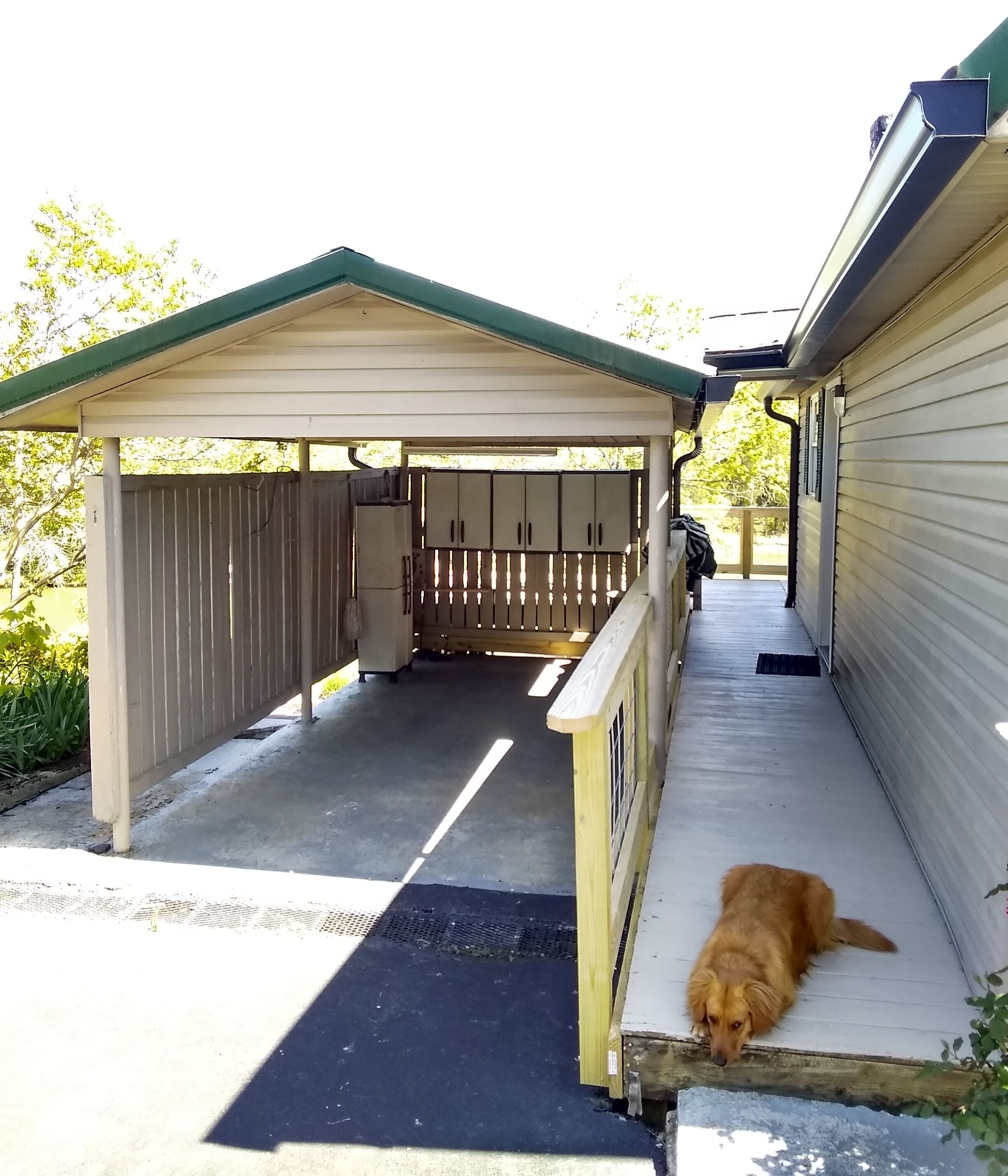 A covered garage with a wooden fence and a dog lying on the porch.