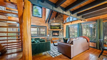 Smart TV, chimenea, reproductor de DVD y videoteca