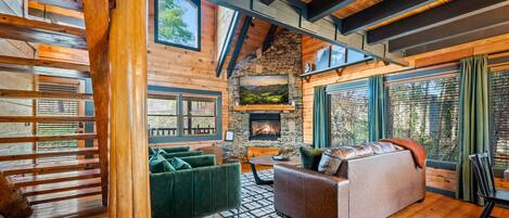 Smart TV, fireplace, DVD player, video library