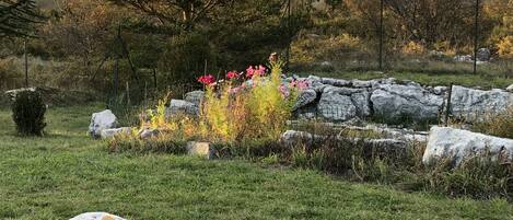 Overnattingsstedets uteområder