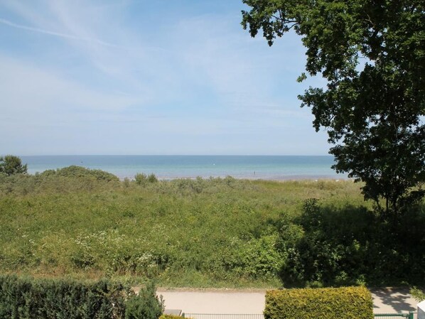 Unclassified image, 1 of 18, button