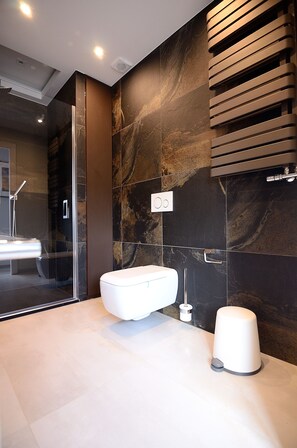 Apartment | Bathroom | Shower, hair dryer, towels, shampoo
