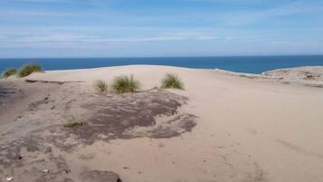 Rumah | Pantai