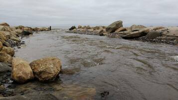 A rocky shoreline with a flowing river.
