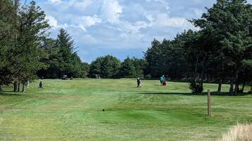 A golf course with a clear sky, trees, and players.
