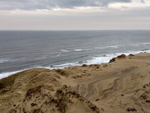 A coastal landscape with a sandy beach and dunes.