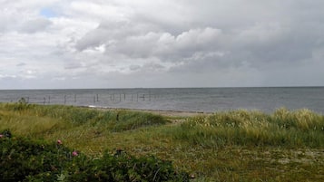 A coastal landscape with a grassy foreground, a sandy beach, and a cloudy sky.