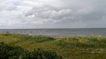 Pemandangan air