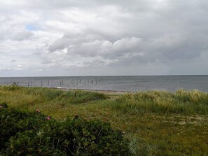 A coastal landscape with a grassy foreground, a sandy beach, and a cloudy sky.