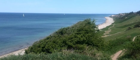 Een kustlandschap met een zandstrand, een onverhard pad en weelderige begroeiing.