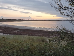 A riverbank with vegetation and a distant horizon.