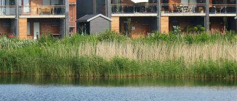 Huis | Exterieur