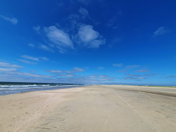 Une vaste plage, un ciel dégagé et des vagues douces.