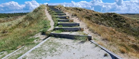 A pathway leading uphill with concrete steps and grass on either side.