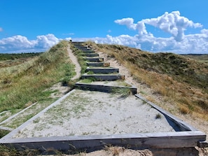 A pathway leading uphill with concrete steps and grass on either side.