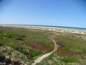 A coastal landscape with a dirt path leading to the beach. - 4 Star Holiday Home in Bindslev (Bindslev)