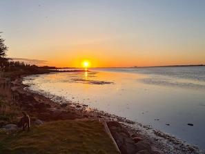 A sunset over a calm body of water with a grassy area and rocks in the foreground.