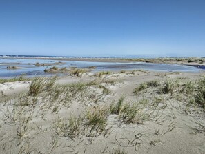 A coastal landscape with sand dunes and a beach.
