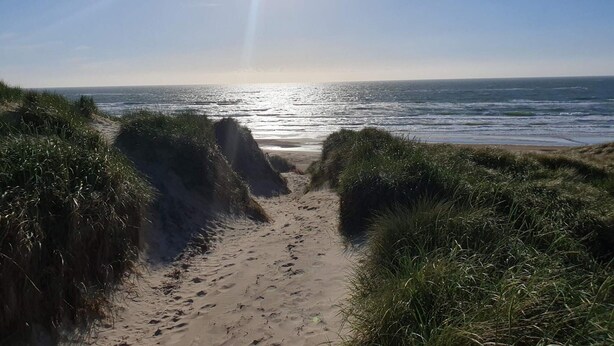 A beach path leading to the ocean with a clear sky. - 5 Star Holiday Home in Lokken (Lokken)