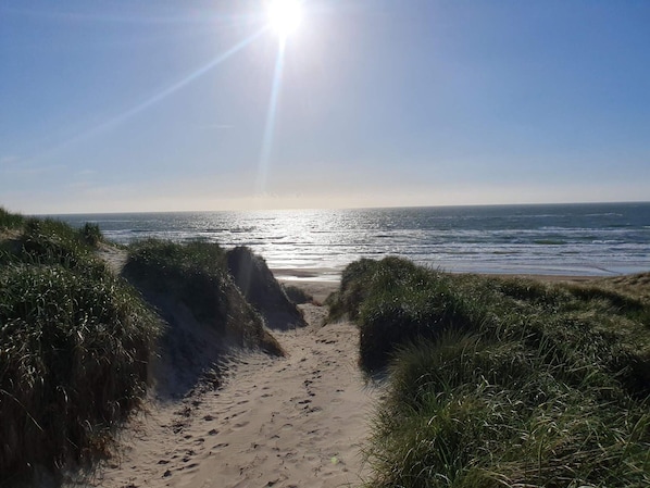 Un sentier qui longe la plage et mĂšne Ă lâocĂ©an, avec un ciel dĂ©gagĂ© et un soleil radieux.