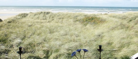 A window view of a beach with grass dunes, a vase with flowers, and a candle holder.