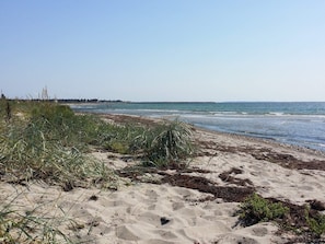 A sandy beach with seaweed and grasses, a clear sky, and a distant shoreline. - 4 Star Holiday Home in Karrebaeksminde (Karrebæksminde)