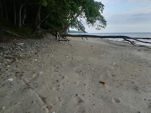 A beach with a tree, pebbles, and a clear view of the ocean. - 4 Star Holiday Home in Vaeggerlose (Vaeggerlose)
