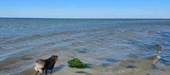 4 Star Holiday Home in Nordborg