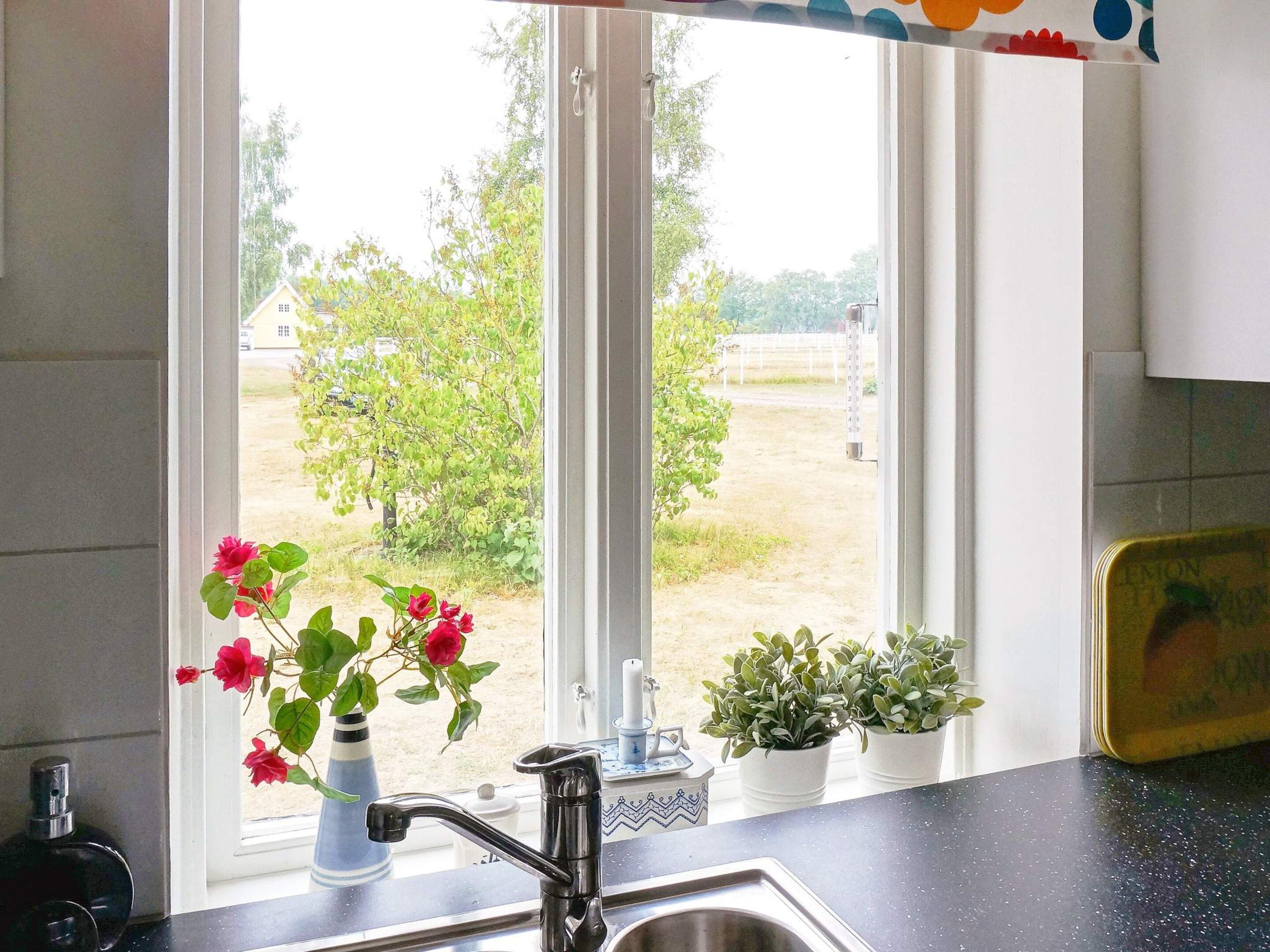 A kitchen with a window, a sink, and potted plants.