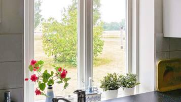 A kitchen with a window, a sink, and potted plants.