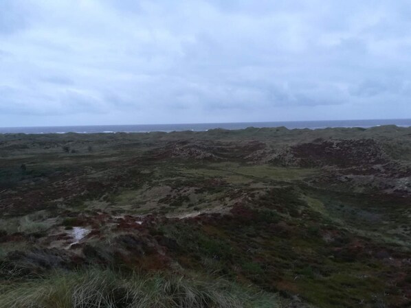 A rugged landscape with rolling hills and sparse vegetation.