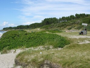 A beach with a grassy area, a picnic table, and a signpost.