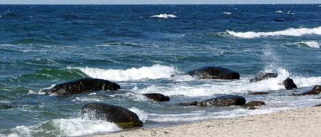 House | View from property