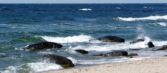 해변 근처의 현대적인 시더 코티지 - 바이 트라움 페리엔보눙겐