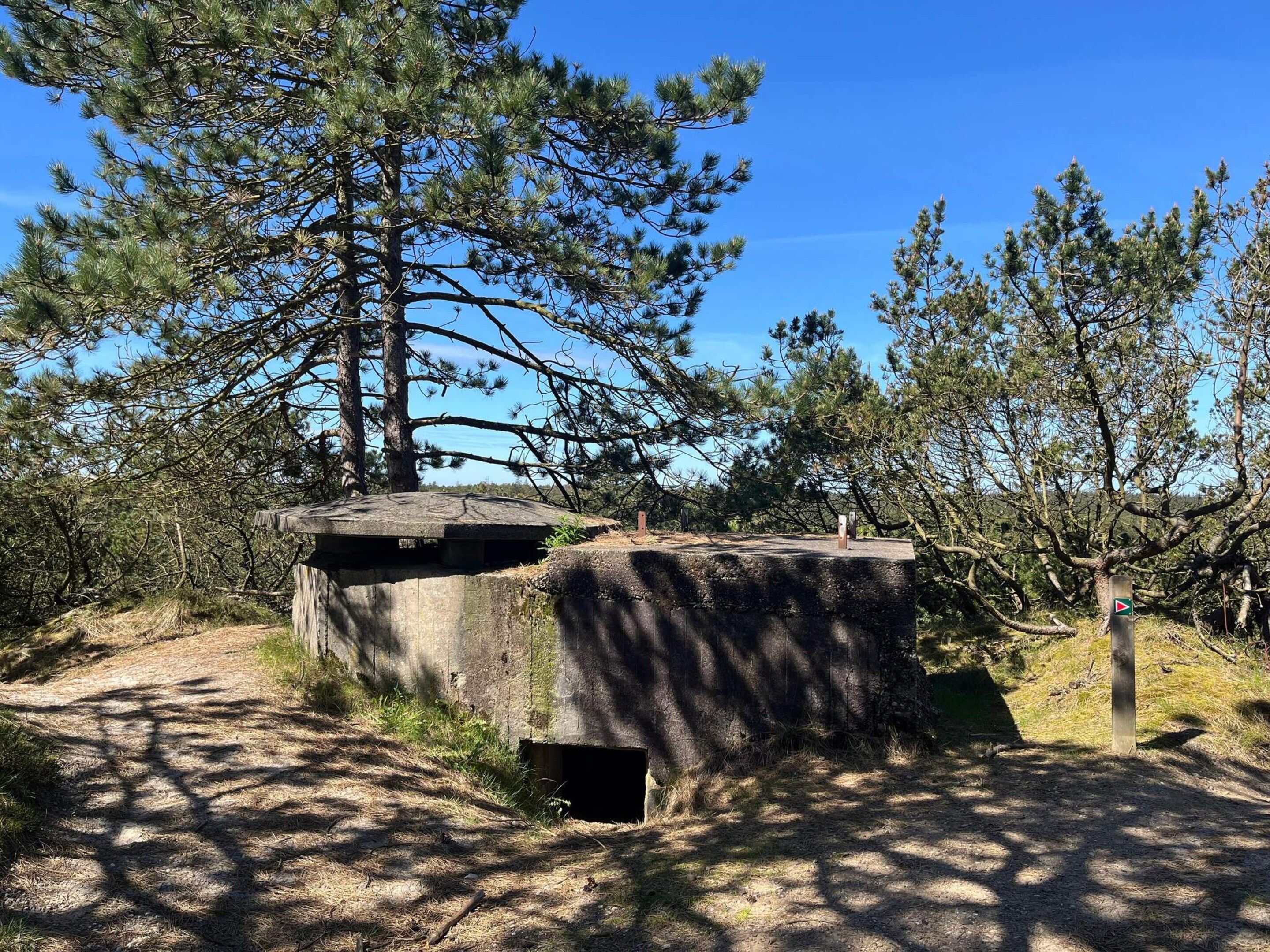 Une structure en béton dotée d’un toit plat, entourée de pins et surplombée d’un ciel dégagé.