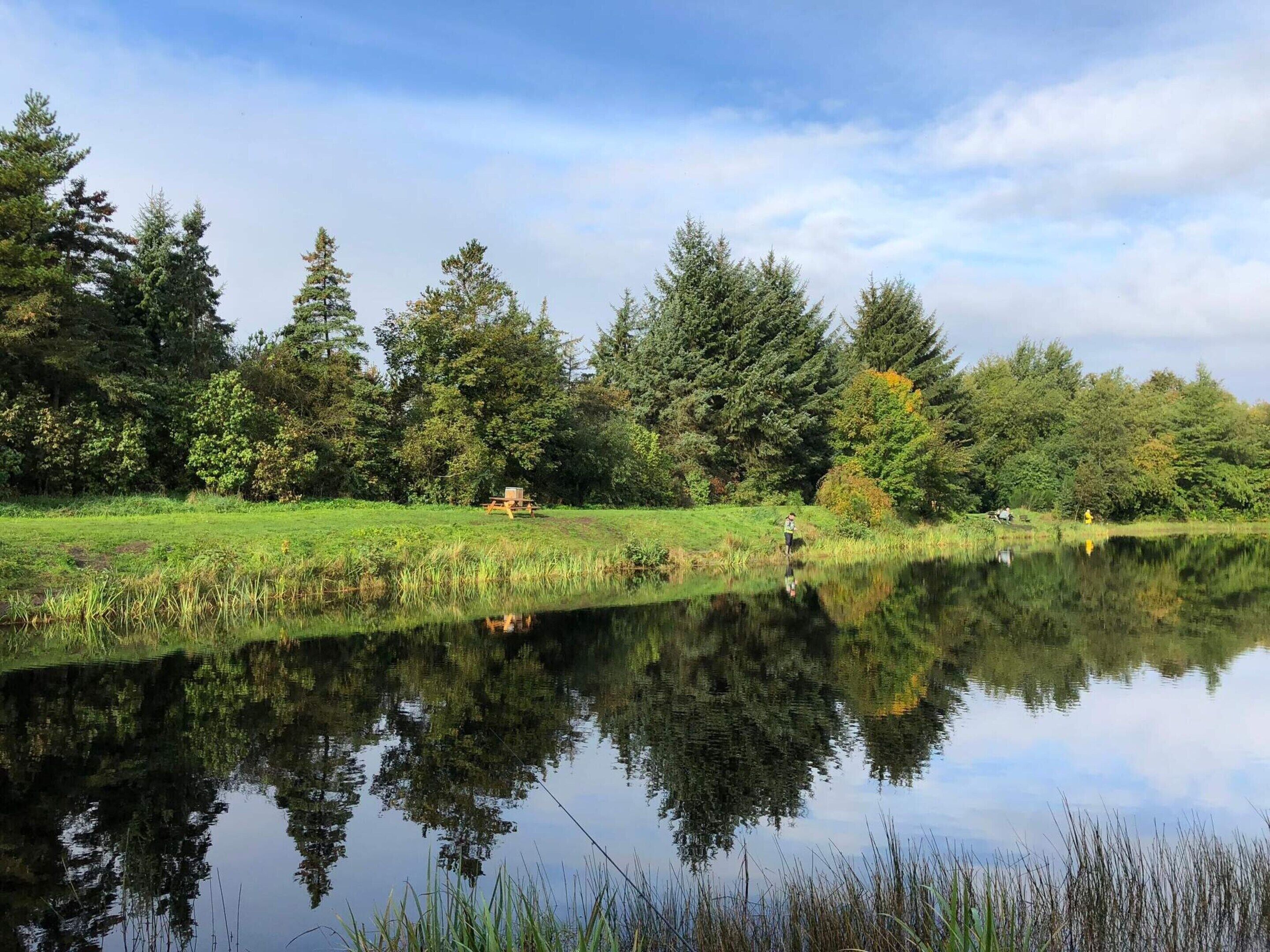 Un lago tranquilo que refleja árboles y una mesa de picnic al frente.