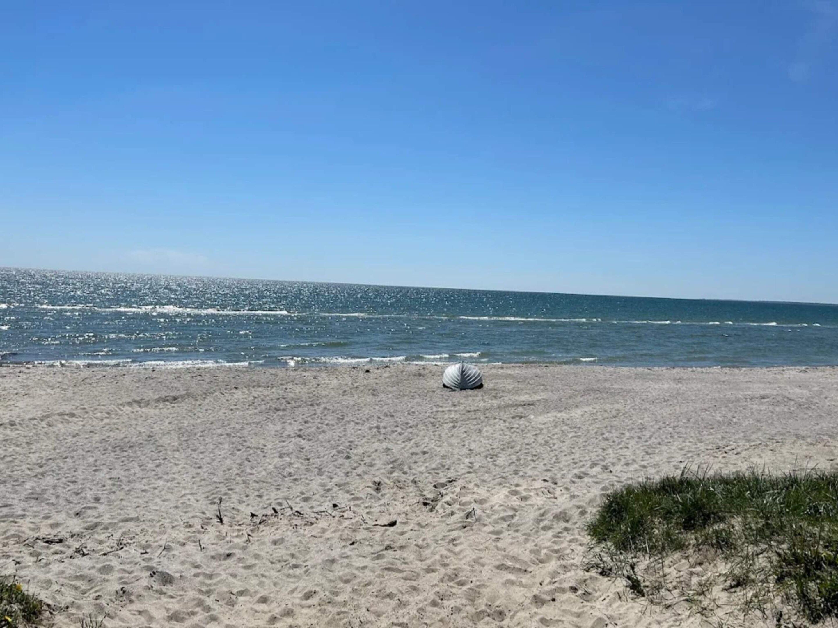 A beach with sand, a shell, and the ocean.