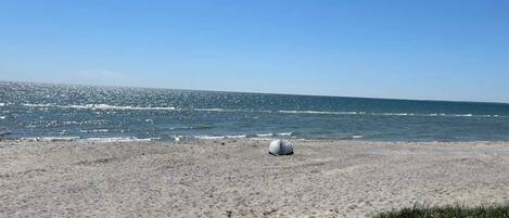 A beach with sand, a shell, and the ocean.
